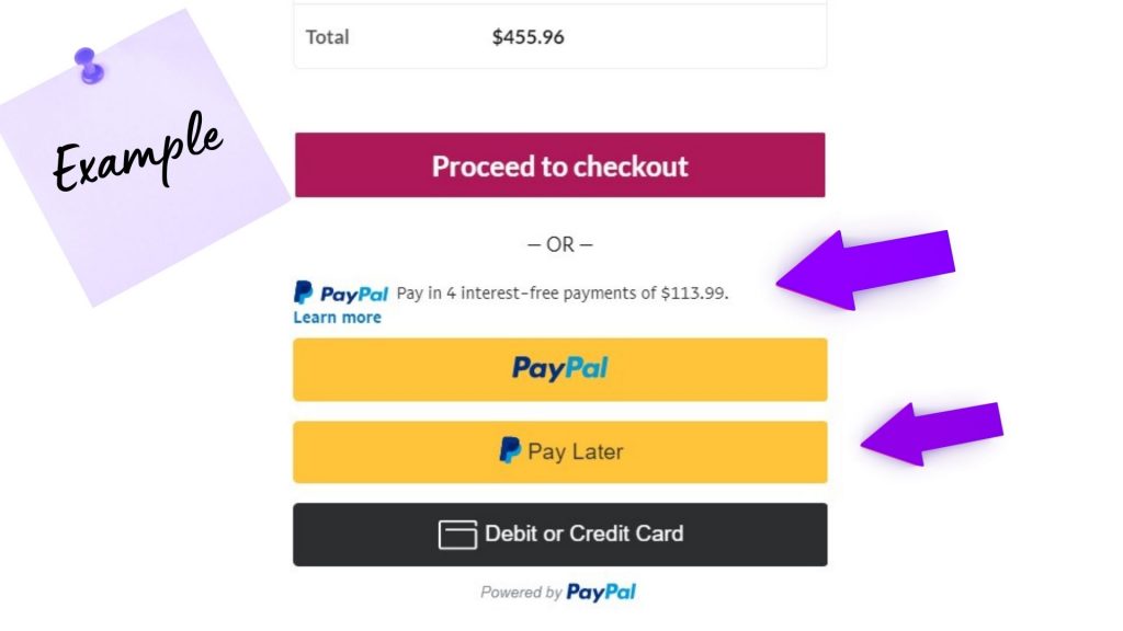 Pole Fitness Dancing Online Payment Plan | Pole Fitness Dancing Shop A checkout screen for pole fitness dancing showing payment plan options