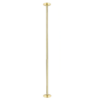Gold Color flat dome pole dancing fitness stripper dance